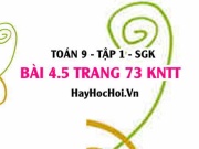 Bài 4.5 Toán 9 tập 1 SGK Kết nối tri thức